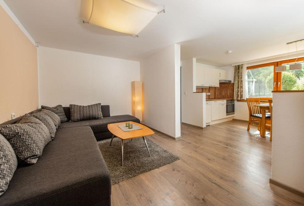 Appartements-Pension Lindenheim Schladming Dış mekan fotoğraf
